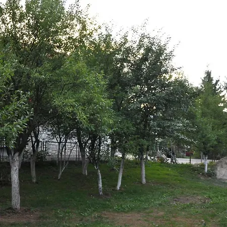 Comfort Ilidza